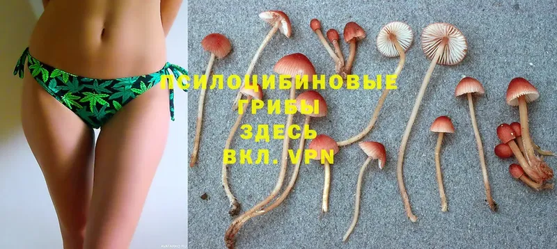 Галлюциногенные грибы Magic Shrooms  ссылка на мегу   Кяхта  где купить наркоту 